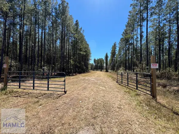 1 Rye Patch Road Ne, Ludowici, GA 31316