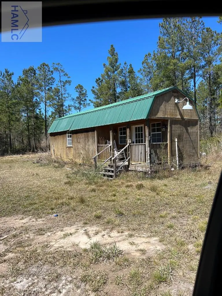1 Rye Patch Road Ne, Ludowici, GA 31316 - #2