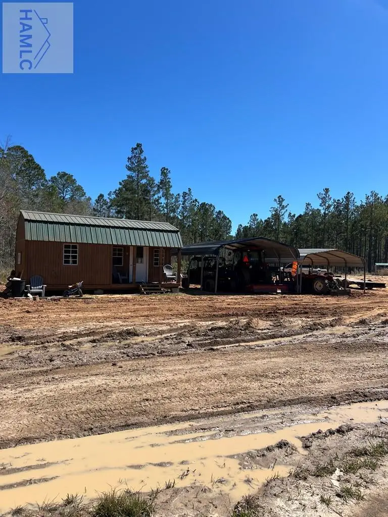 1 Rye Patch Road Ne, Ludowici, GA 31316 - #3