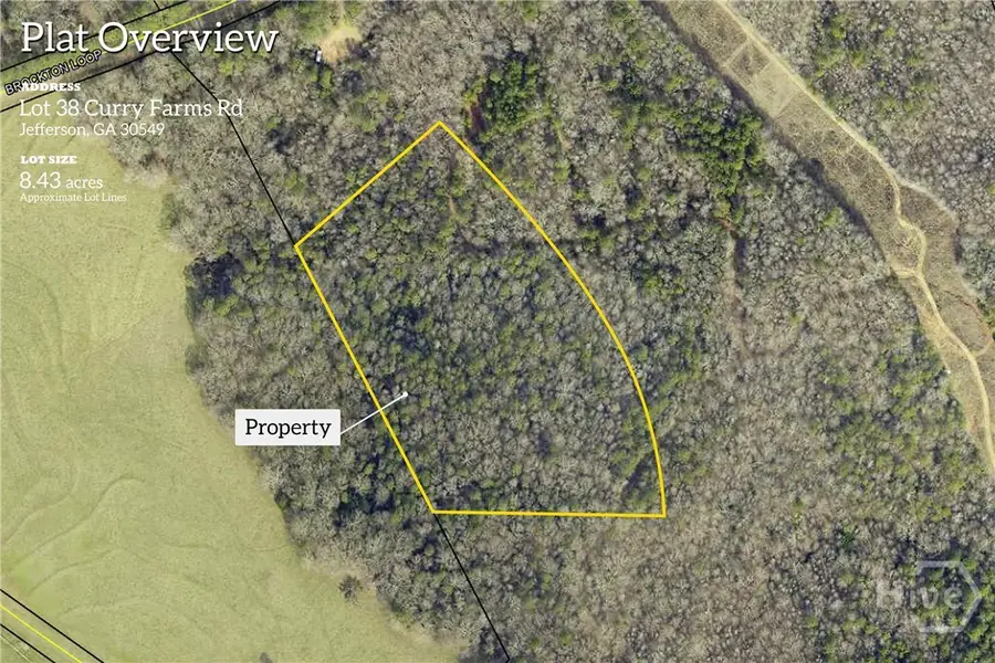 0 Curry Farms Road #Lot 38, Jefferson, GA 30549 - Image #3