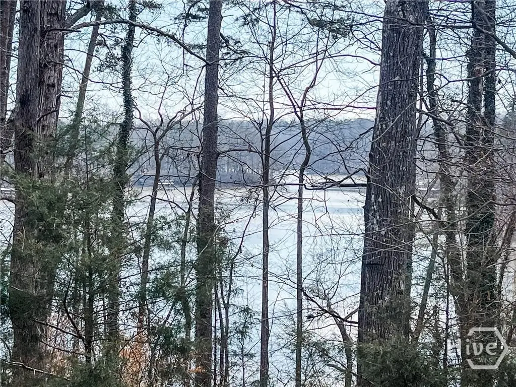 0 Rue Maurice #22-23, Lavonia, GA 30553 - Image #1