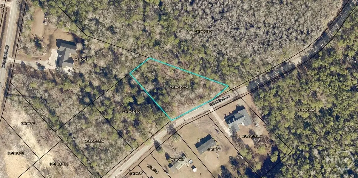 0 Williams Street Tract 3, Guyton, GA 31312 - Image #1