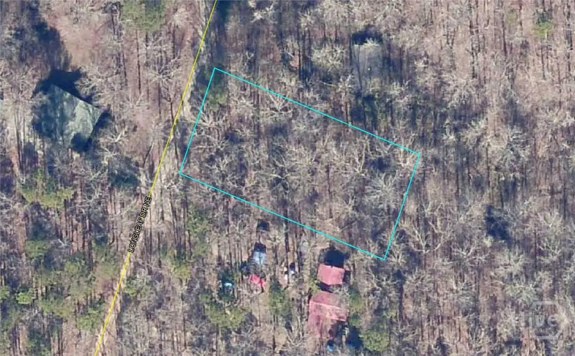 0 Long Leaf Drive, Thomson, GA 30824 - #1