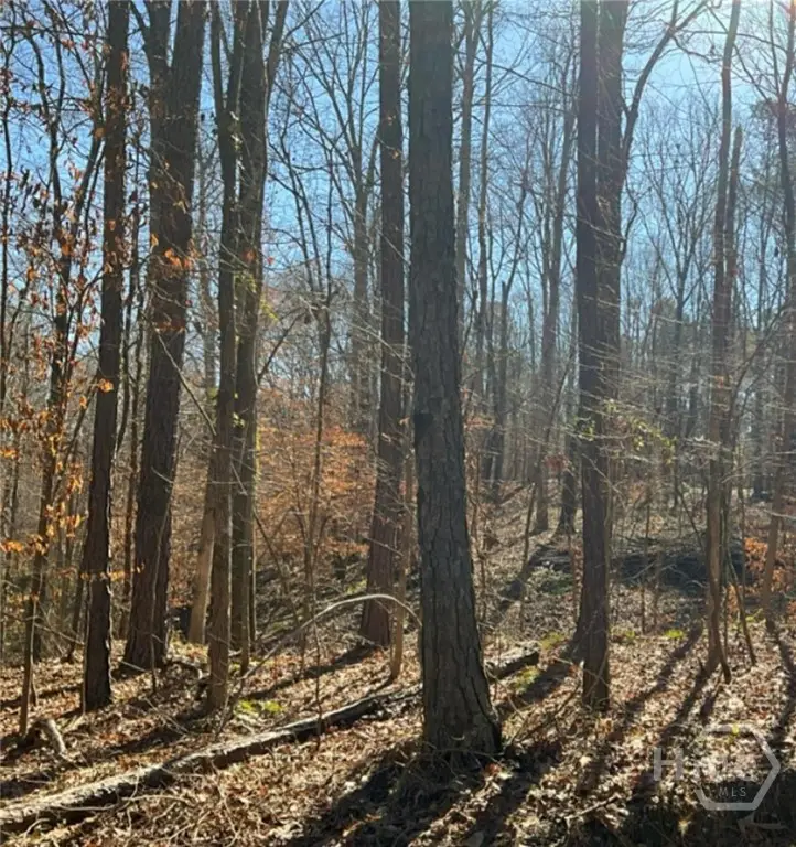 0 Long Leaf Drive, Thomson, GA 30824 - #2