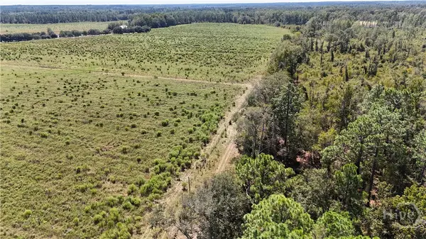 2548 Dry Dock Road #Tract 2, Metter, GA 30439