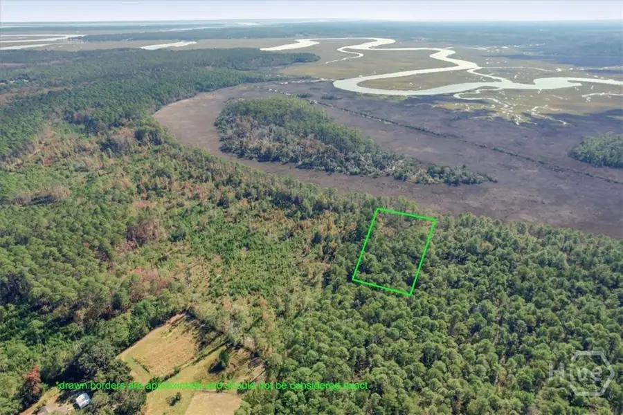 0 NE Fair Hope Road, Townsend, GA 31331 - Image #2