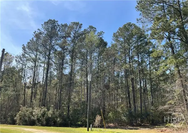 1258 Clyo Kildare Road, Clyo, GA 31303