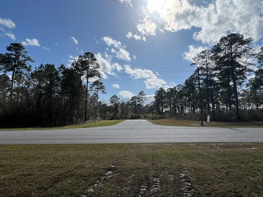 LOT 25 Woodlake Court, Leesburg, GA 31763 - #1