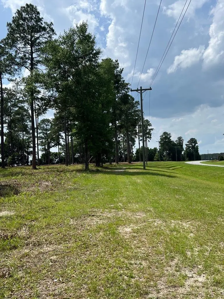 LOT 25 Woodlake Court, Leesburg, GA 31763 - #2