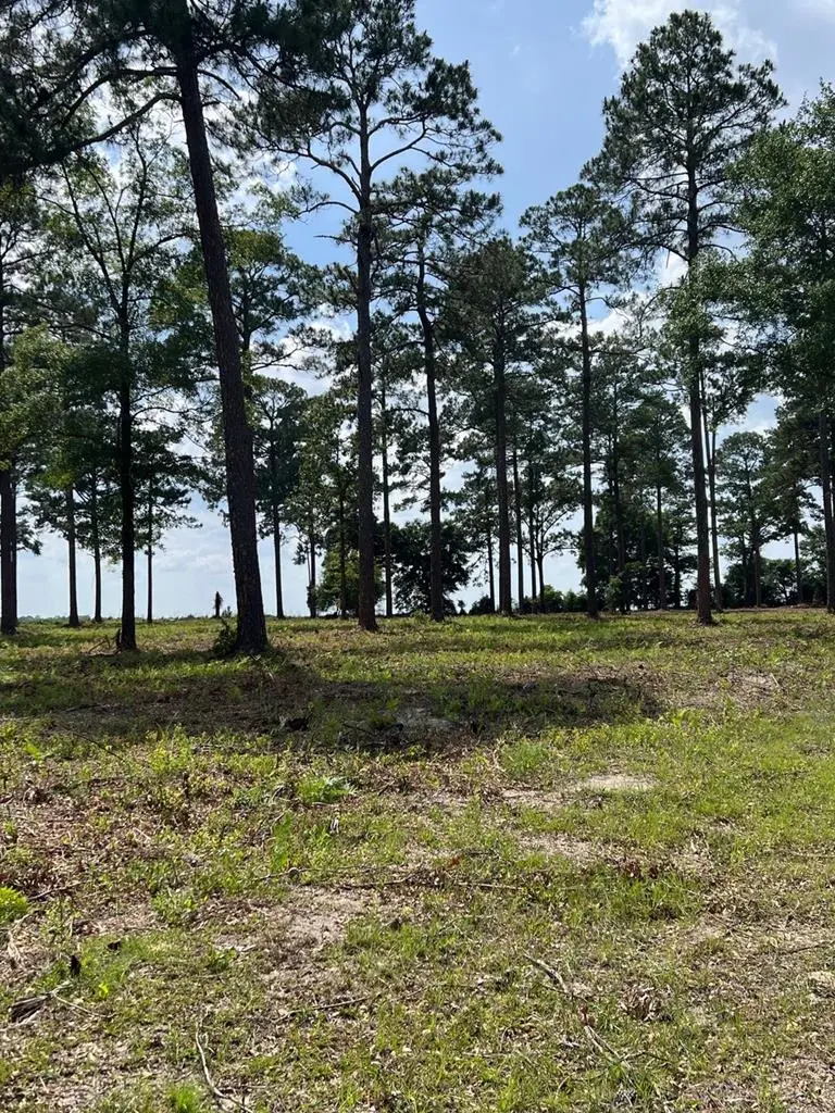 Lot 27 Woodlake Court, Leesburg, GA 31763 - #3