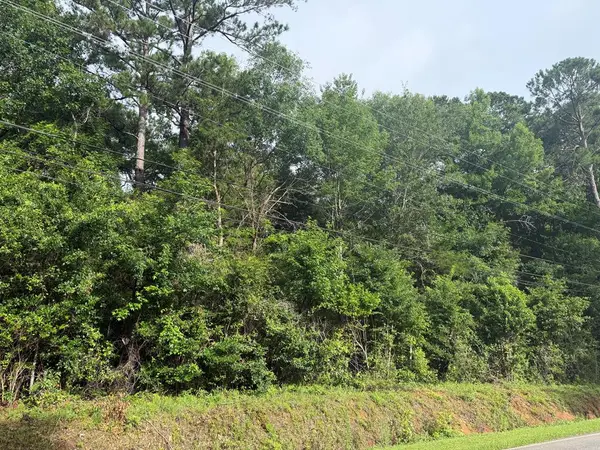 -- Flower Dr, Blakely, GA 39823