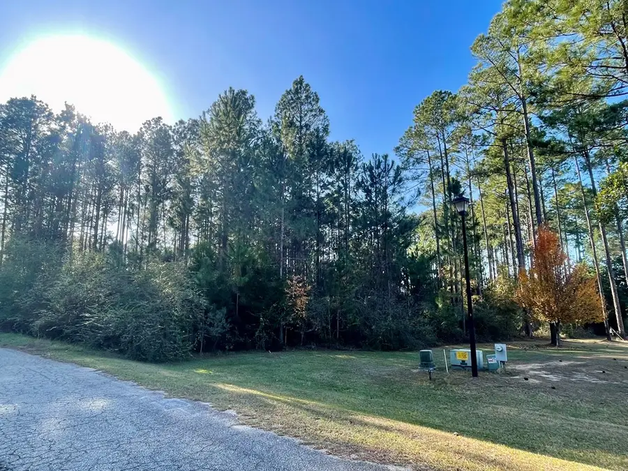 115 Northlake Drive, Sylvester, GA 31791 - Image #3