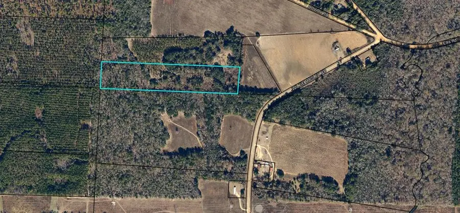 0000 Wilkie Mosley Road, Blakely, GA 39823 - #2