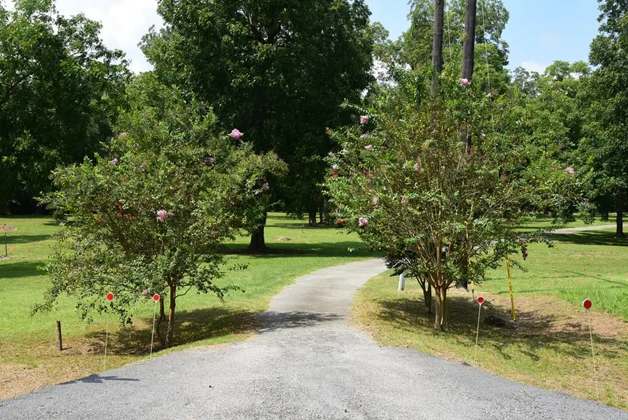 2805 Jefferson Street N, Albany, GA 31701 - Image #2