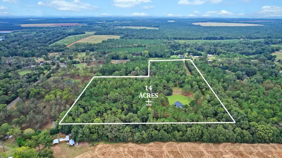 4560 Graves Hwy, Dawson, GA 39842 - #3