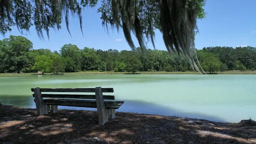 Lot 10 Hidden Lakes Drive, Albany, GA 31721 - #3