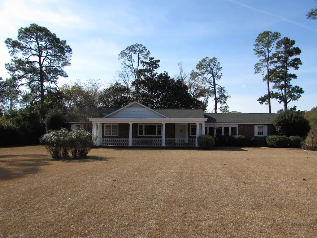 8667 Joe Bryan Street, Damascus, GA 39841 - Image #1