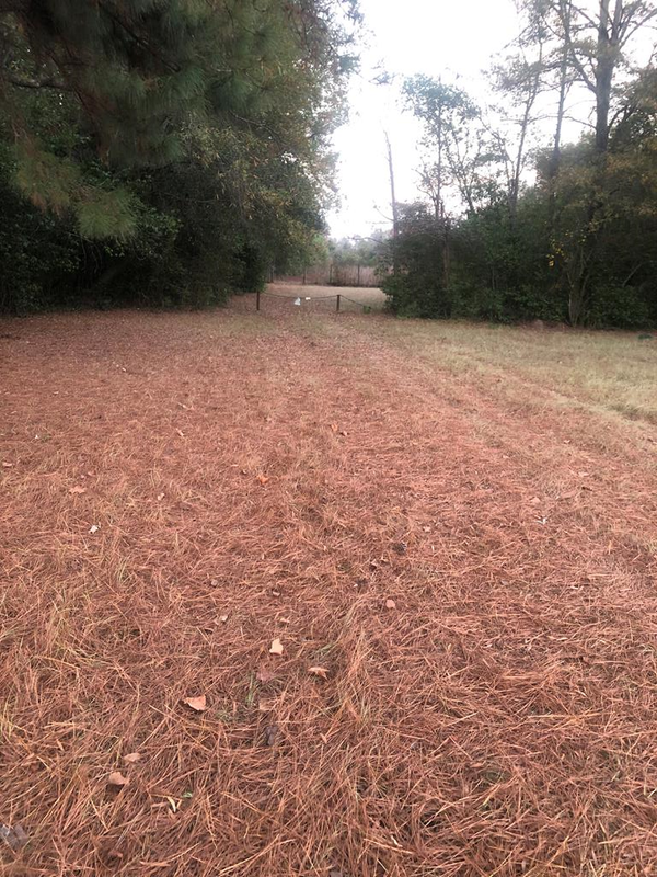 2346 SE Harvey Road, Albany, GA 31701