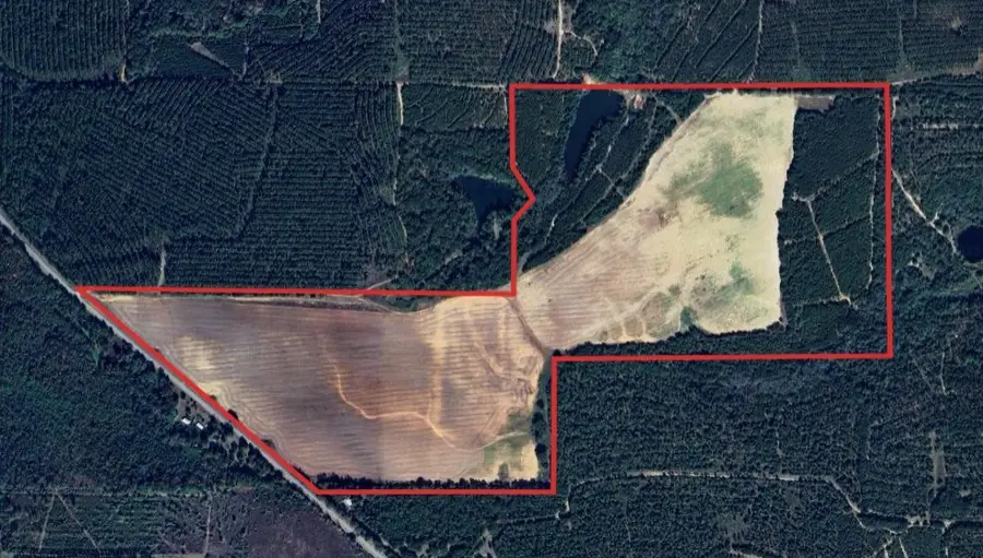 00 Hwy 41, Shellman, GA 39886 - Image #2