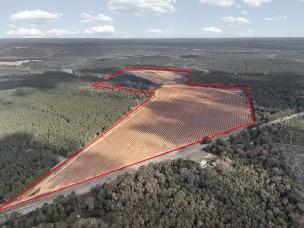 00 Hwy 41, Shellman, GA 39886