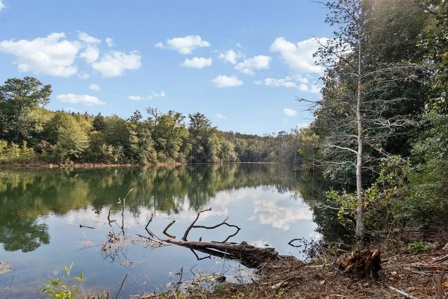 00 Hwy 41, Shellman, GA 39886 - Image #3