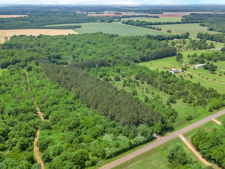 3418 New Hope Rd, Dawson, GA 39842 - Image #3