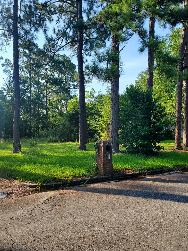 310 Ingleside Drive N, Albany, GA 31707 - Image #2