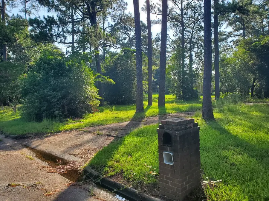 310 Ingleside Drive N, Albany, GA 31707 - Image #3