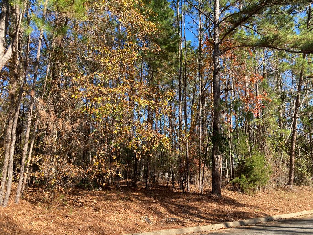 Address Withheld By Seller, Albany, GA 31721 - Image #1