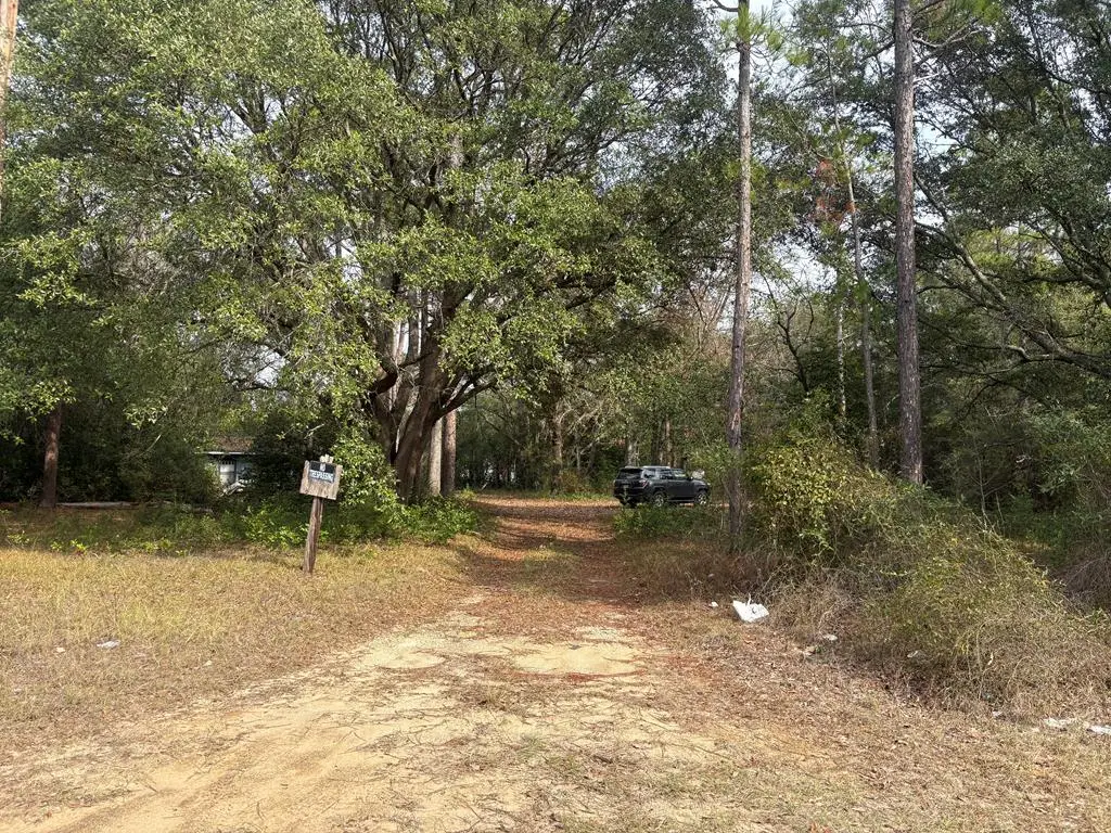 272 Clear Lake Road, Newton, GA 39813 - Image #1