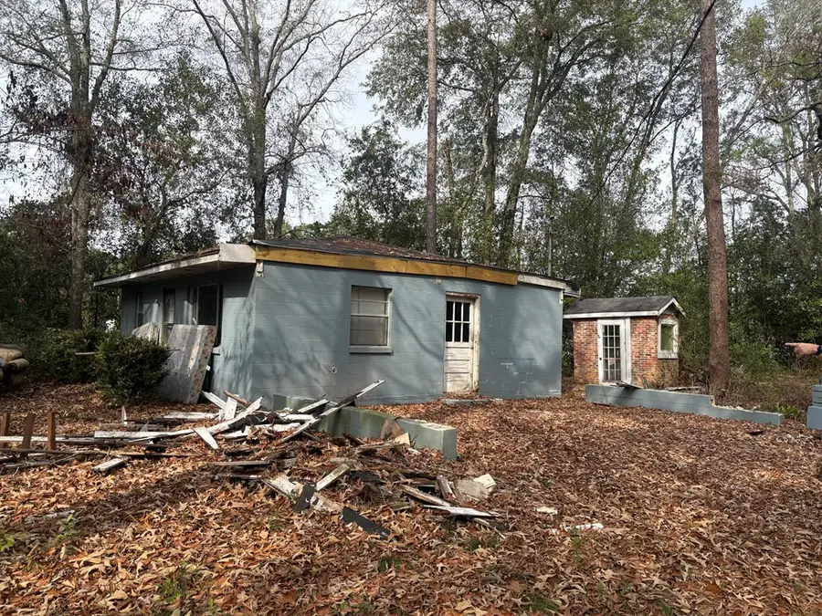 272 Clear Lake Road, Newton, GA 39813 - Image #2