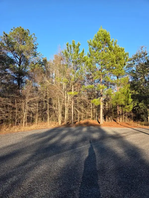 na Pine Trail, Sylvester, GA 31791