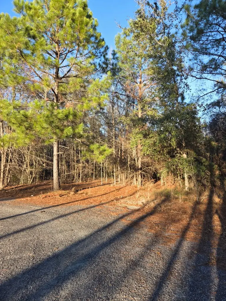 na Pine Trail, Sylvester, GA 31791 - Image #2