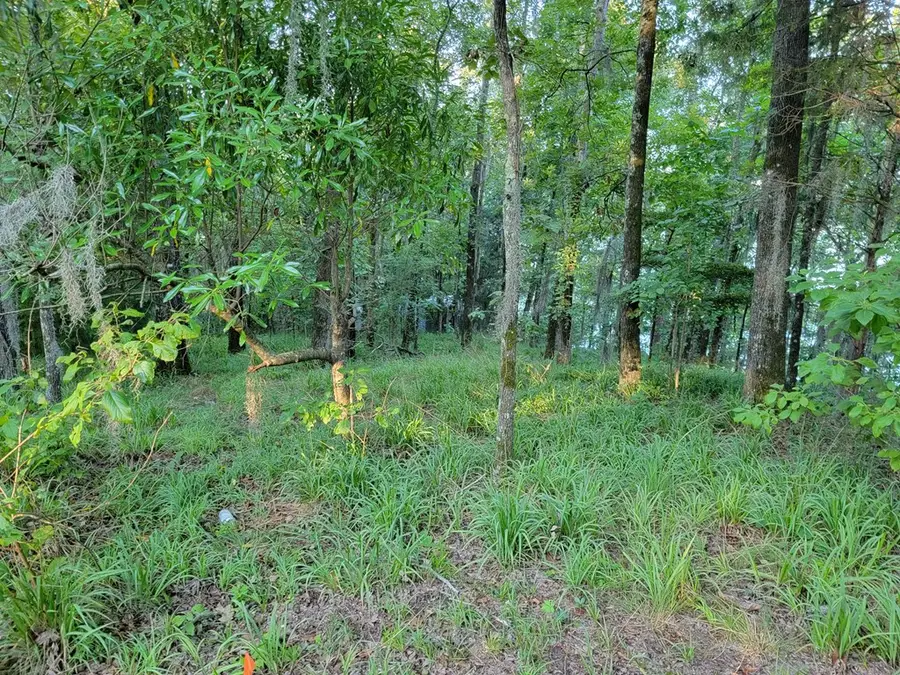 000 Joy St, Georgetown Quitman County, GA 39854 - #2