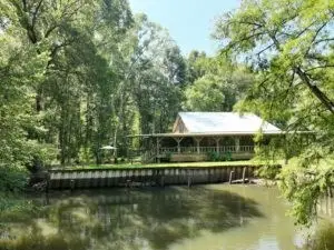 300 Five Forks Rd, Shellman, GA 39886 - Image #3