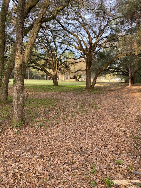 379 Leland Ferrell Drive, Leesburg, GA 31763 - Image #3