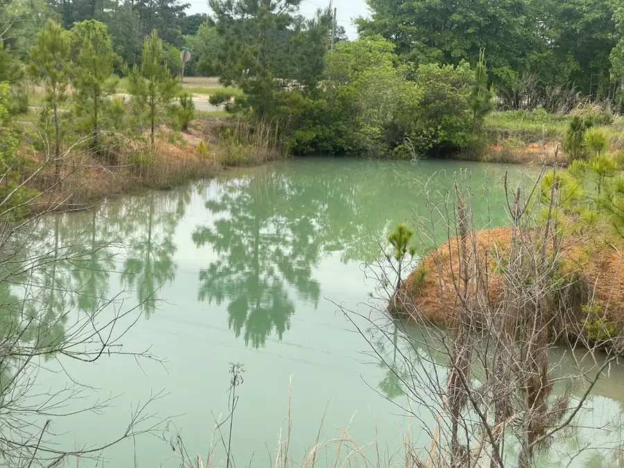 2691 Amboy Rebecca Road, Rebecca, GA 31783 - Image #2