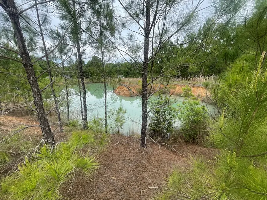 2691 Amboy Rebecca Road, Rebecca, GA 31783 - Image #3