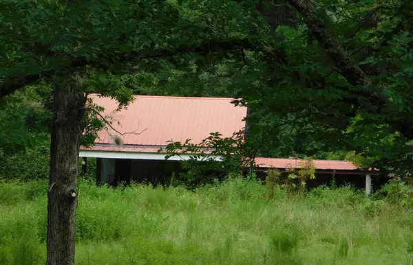 0 County Line Road, Pelham, GA 31779