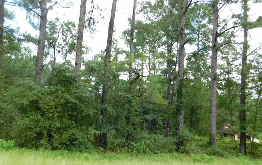 0 County Line Road, Pelham, GA 31779 - #3