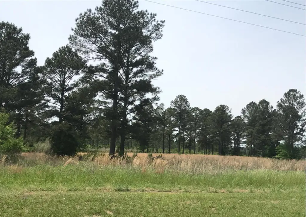 985 Hwy 32w, Leesburg, GA 31763 - #1