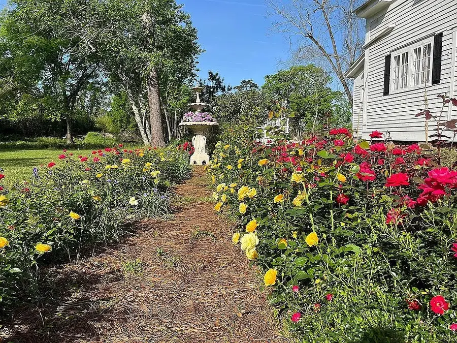 233 Dogwood Avenue Nw, Arlington, GA 39813 - #2