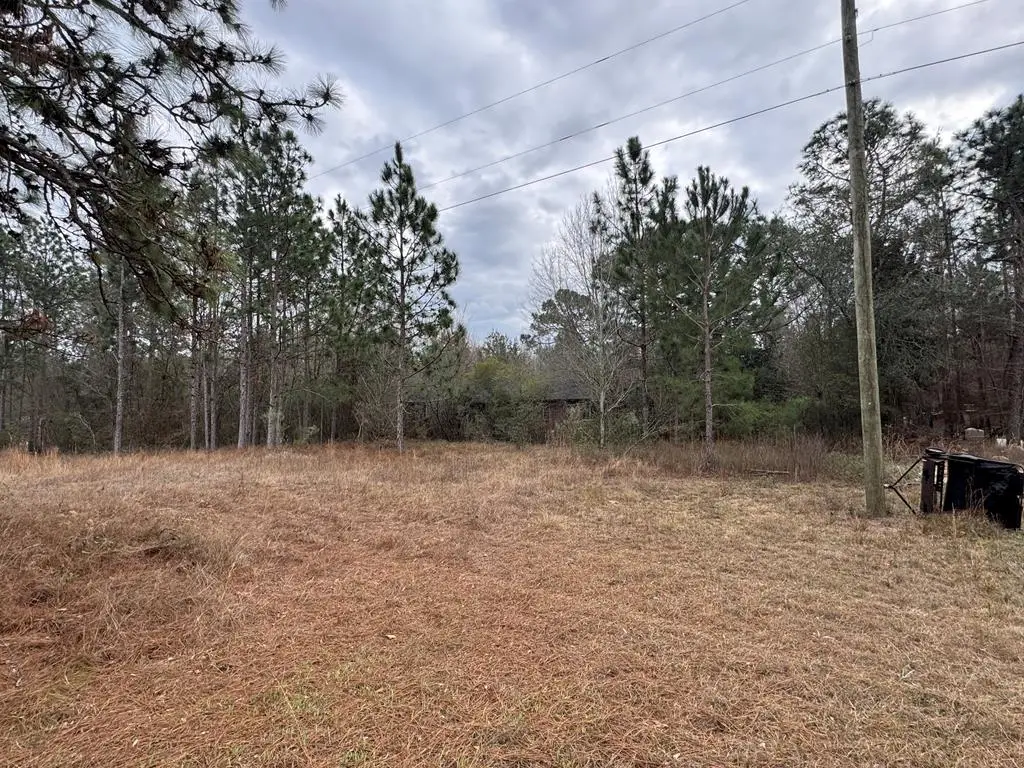 7225 Beulah Lane, Baconton, GA 31779 - #1