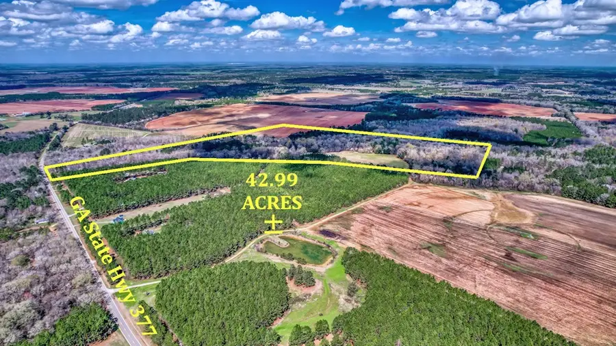 312 State Hwy 377, Leesburg, GA 31763 - #3