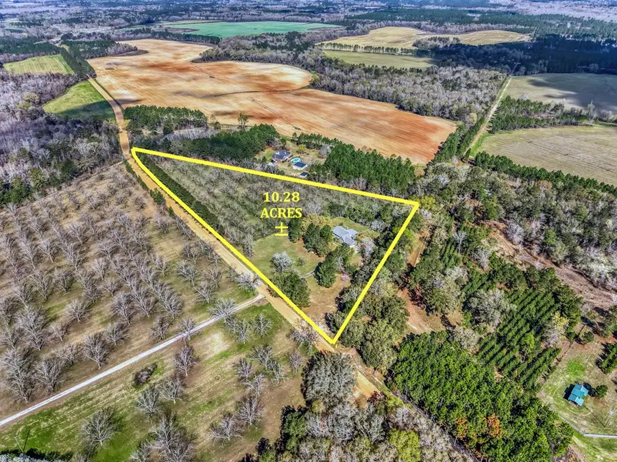 578 Dixie Road, Leesburg, GA 31763 - #2