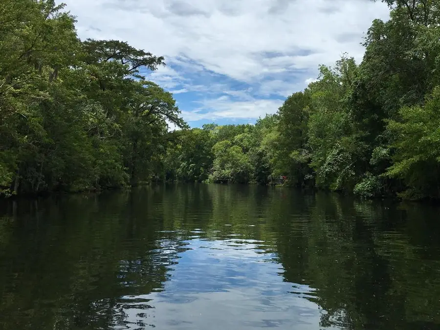 165 Old Hickory Drive, Leesburg, GA 31763 - #2