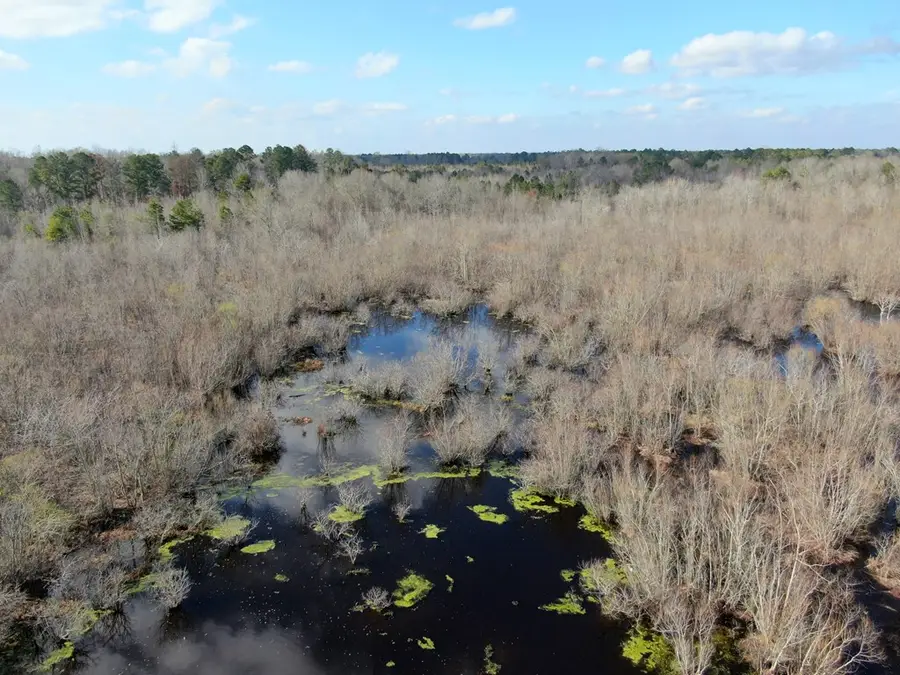 3100 Harvest Lane, Albany, GA 31707 - #2