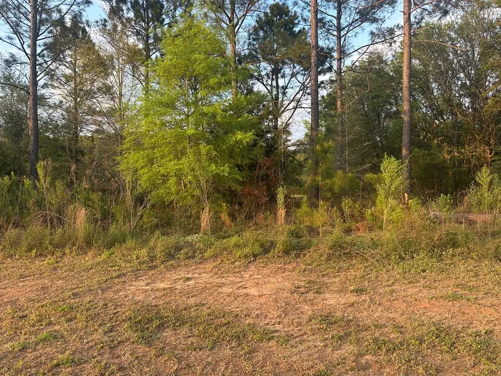 119 Partridge Circle, Leesburg, GA 31763 - #1