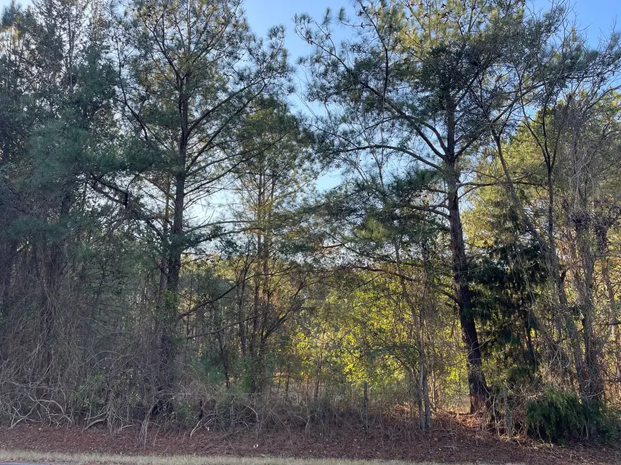 0000 Hamilton Drive, Albany, GA 31721 - #2