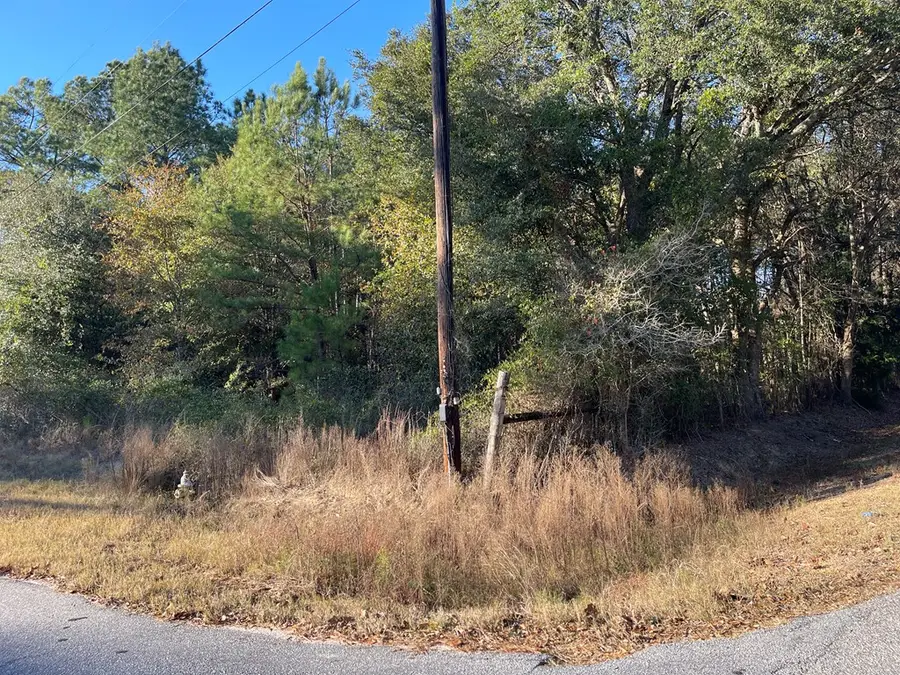 0000 Hamilton Drive, Albany, GA 31721 - #3